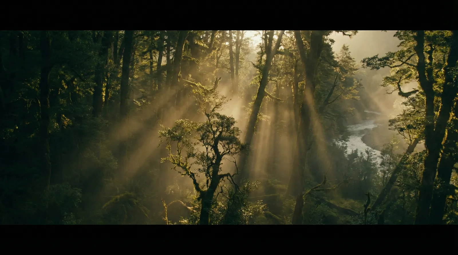 尤物视频 自然纪录片风格调色案例